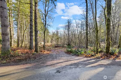 60 SE Mable Taylor Lane, Shelton, WA 98584 - Photo 2