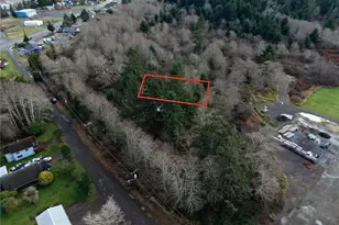 0 E Schley St, Aberdeen, WA 98520 - Photo 1