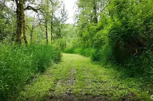 209 Alpha Way, Onalaska, WA 98570 - Photo 34