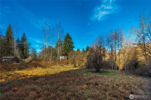 10330 56th St SE, Snohomish, WA 98290 - Photo 14