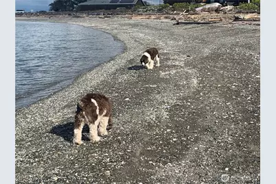 273 Marine Drive, Coupeville, WA 98239 - Photo 38