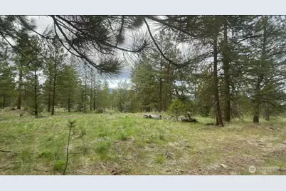 0 Fs 3010 Road, Tonasket, WA 98855 - Photo 1