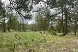 0 Fs 3010 Rd, Tonasket, WA 98855 - Photo 1