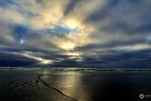 766 Ocean Ct NW, Ocean Shores, WA 98569 - Photo 18