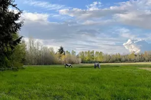 3925 Harts Lake Rd S, Roy, WA 98580 - Photo 2