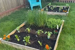 27921 227th Ct SE, Maple Valley, WA 98038 - Photo 34