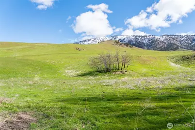 7993 Nahahum Canyon Road, Cashmere, WA 98815 - Photo 36