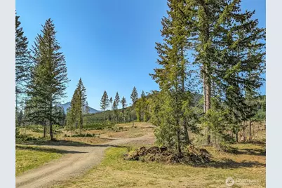 0 Craig Rd #Lot A1, Packwood, WA 98361 - Photo 6