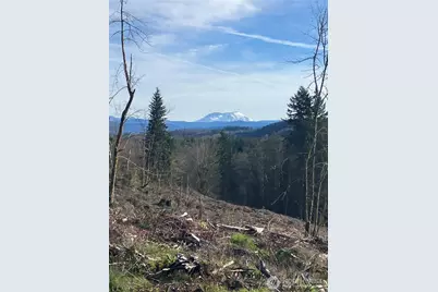 0 August Road, Onalaska, WA 98570 - Photo 4