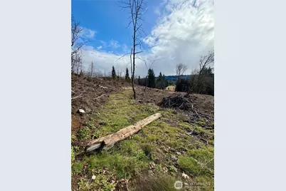 0 August Road, Onalaska, WA 98570 - Photo 12