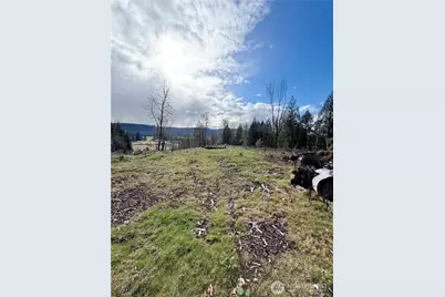 0 August Road, Onalaska, WA 98570 - Photo 6