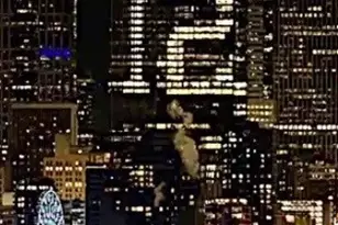 3414 33rd Ave SW, Seattle, WA 98126 - Photo 28