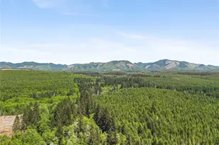 231 W New Moon Ln, Matlock, WA 98560 - Photo 40