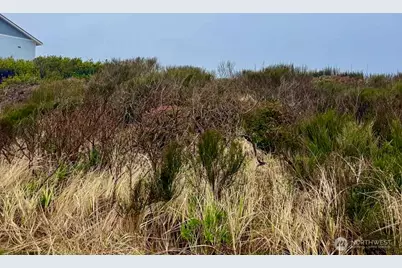0 Xxx Dune Crest Drive, Westport, WA 98595 - Photo 14