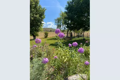 87 Applejack Road, Tonasket, WA 98855 - Photo 6