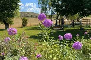 87 Applejack Rd, Tonasket, WA 98855 - Photo 6