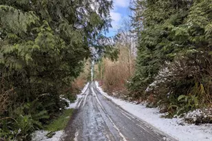 0 124th Street NE, Arlington, WA 98223 - Photo 1