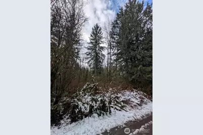 0 124th Street NE, Arlington, WA 98223 - Photo 2