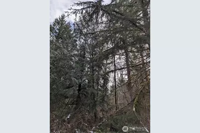 0 124th Street NE, Arlington, WA 98223 - Photo 6