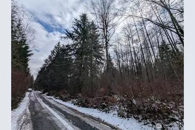 0 124th Street NE, Arlington, WA 98223 - Photo 4