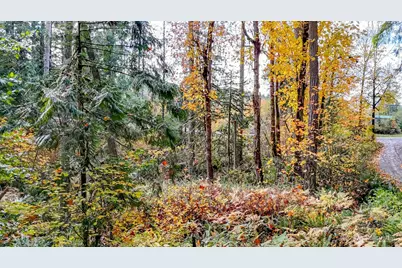 18313 Patterson Road E, Orting, WA 98360 - Photo 4