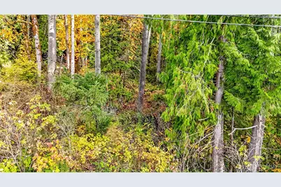 18313 Patterson Road E, Orting, WA 98360 - Photo 26