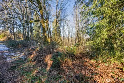218 Xx E Lost Lake Road, Snohomish, WA 98296 - Photo 6