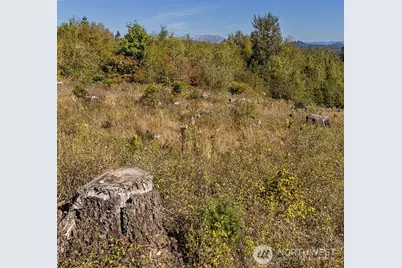 31807 NE 122nd Avenue, Battle Ground, WA 98604 - Photo 16