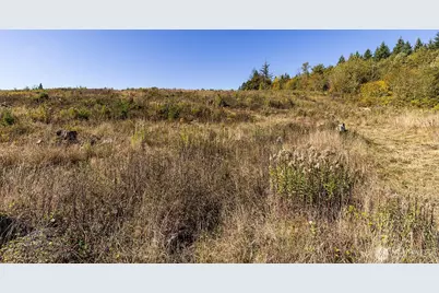 31807 NE 122nd Avenue, Battle Ground, WA 98604 - Photo 28