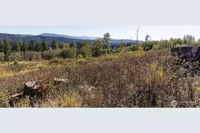 31807 NE 122nd Avenue, Battle Ground, WA 98604 - Photo 22