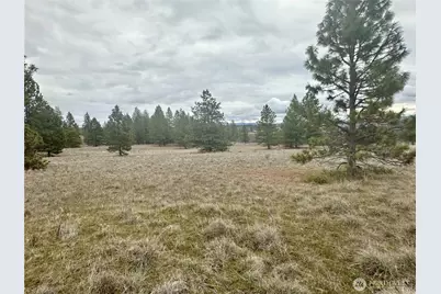 72 Winlock Road, Goldendale, WA 98620 - Photo 2