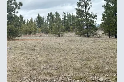 72 Winlock Road, Goldendale, WA 98620 - Photo 6