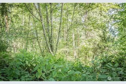 28 Buckhorn Place, Port Townsend, WA 98368 - Photo 14