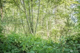 28 Buckhorn Pl, Port Townsend, WA 98368 - Photo 14