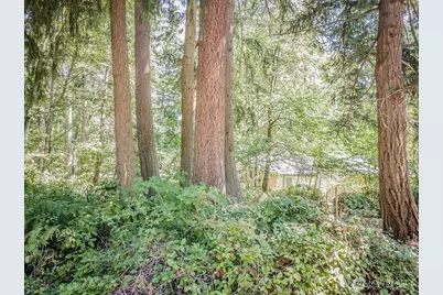 28 Buckhorn Place, Port Townsend, WA 98368 - Photo 10