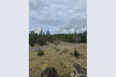 31101 SE Retreat-Kanaskat Road, Ravensdale, WA 98051 - Photo 6