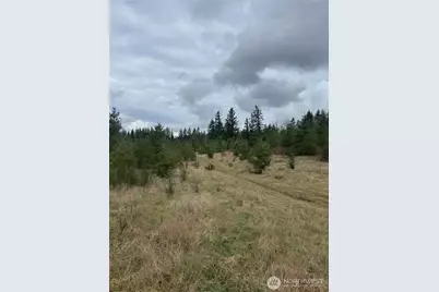 31101 SE Retreat-Kanaskat Road, Ravensdale, WA 98051 - Photo 4