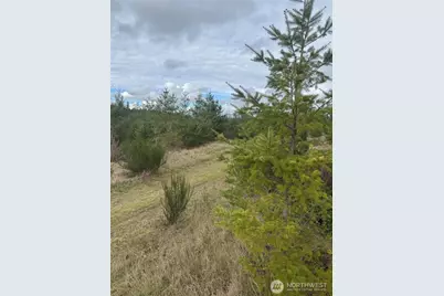 31101 SE Retreat-Kanaskat Road, Ravensdale, WA 98051 - Photo 2