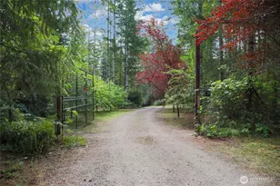 181 E Elaine Pl, Belfair, WA 98528 - Photo 36