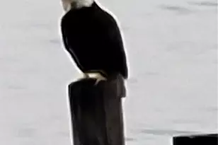 10475 Manitou Beach Dr NE, Bainbridge Island, WA 98110 - Photo 38