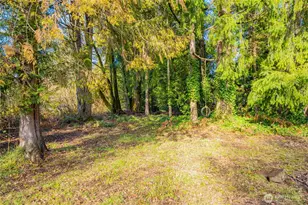 2604 33rd Trail NE, Olympia, WA 98506 - Photo 24