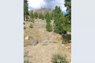 83 E Cayuse Mountain Road, Tonasket, WA 98855 - Photo 2