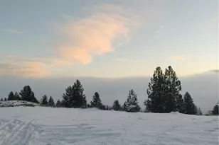 83 E Cayuse Mountain Rd, Tonasket, WA 98855 - Photo 36