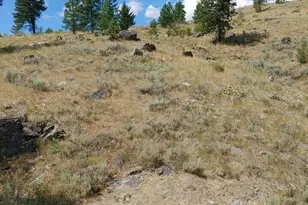 83 E Cayuse Mountain Rd, Tonasket, WA 98855 - Photo 22