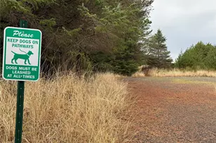 1207 215th Ln, Ocean Park, WA 98640 - Photo 32