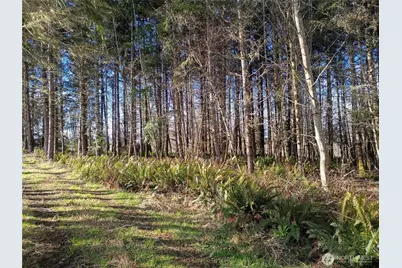 0 Salmon Creek Road, Mossyrock, WA 98564 - Photo 4