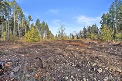 30201 S Creek Road E, Graham, WA 98338 - Photo 38