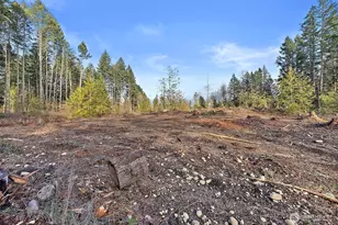 30201 S Creek Rd E, Graham, WA 98338 - Photo 38