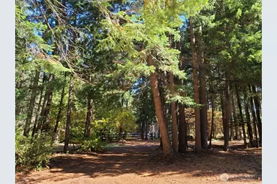 551 Pioneer Trail, Cle Elum, WA 98922 - Photo 34