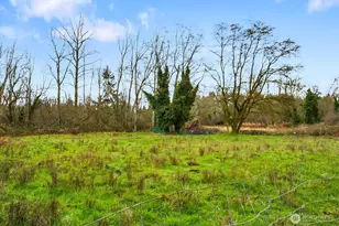 7459 A St, Tacoma, WA 98408 - Photo 24